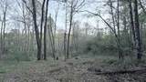 2463 Willow Bend Rd - Photo 56