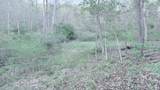 2463 Willow Bend Rd - Photo 64