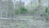 2463 Willow Bend Rd - Photo 66