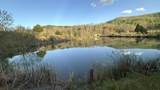 2463 Willow Bend Rd - Photo 82