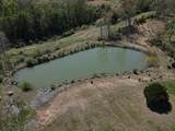 2463 Willow Bend Rd - Photo 90