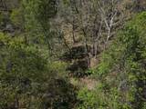 2463 Willow Bend Rd - Photo 94