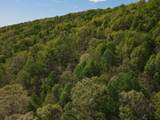 2463 Willow Bend Rd - Photo 98