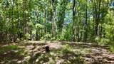 2138 Boones Mountain Rd - Photo 38