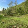 3259 Julia Rd - Photo 6