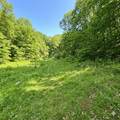 3259 Julia Rd - Photo 8