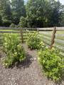 1999 Rockland Rd - Photo 106