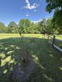 1999 Rockland Rd - Photo 132