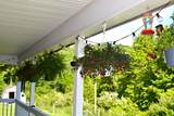 701 Fleshman Hollow Rd - Photo 11