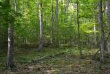 701 Fleshman Hollow Rd - Photo 19