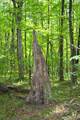 701 Fleshman Hollow Rd - Photo 22