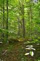 701 Fleshman Hollow Rd - Photo 23