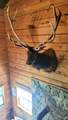 927 Bluestone River Rd - Photo 29