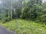  0 Bacon Falls Road - Photo 3
