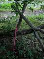 Tbd Keister Rd - Photo 13