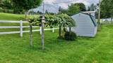 451 & 461 Fair Street - Photo 17