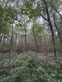 300 Droop Mountain Rd. - Photo 7