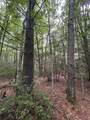 300 Droop Mountain Rd. - Photo 9