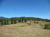 125 The Pines Drive - Photo 12