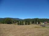 125 The Pines Drive - Photo 13