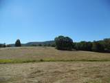 125 The Pines Drive - Photo 15