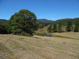 125 The Pines Drive - Photo 3