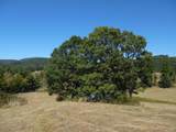 125 The Pines Drive - Photo 7