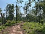  Irish Mt. Road - Photo 11