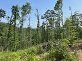  Irish Mt. Road - Photo 17