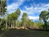  Irish Mt. Road - Photo 22