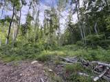  Irish Mt. Road - Photo 4