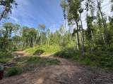  Irish Mt. Road - Photo 5