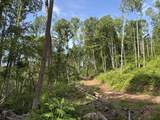  Irish Mt. Road - Photo 6