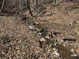 156 Deems Ln - Photo 57