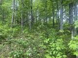 254 Tanyard Rd - Photo 43
