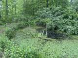 254 Tanyard Rd - Photo 62