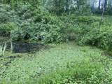 254 Tanyard Rd - Photo 63