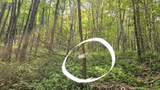  Lots 21 Eagles Nest - Photo 7