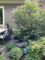 382 Bearclaw Ln - Photo 47