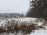  Gray Gable Road - Photo 17