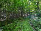 Tbd Leonard Long Rd - Photo 4