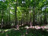 Tbd Leonard Long Rd - Photo 6