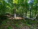 Tbd Leonard Long Rd - Photo 8