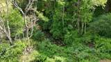 144+/- Ac Moncove Lake Road - Photo 5