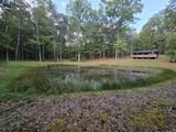 Tbd White Pine Lane - Photo 1
