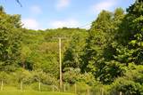 701 Fleshman Hollow Rd - Photo 12