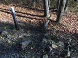 Lot 124 Withrow Landing - Photo 4