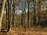 Lot 124 Withrow Landing - Photo 9