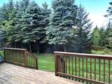 69 Shamrock - Photo 14