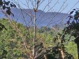 795 War Ridge Road - Photo 6